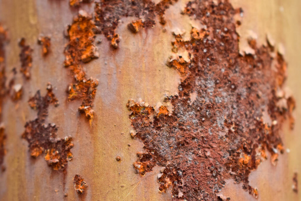 Folha de ferro rústico Textura fundo, Antigo oxidado Rústico Textura Fotografia stock - Foto, Imagem
