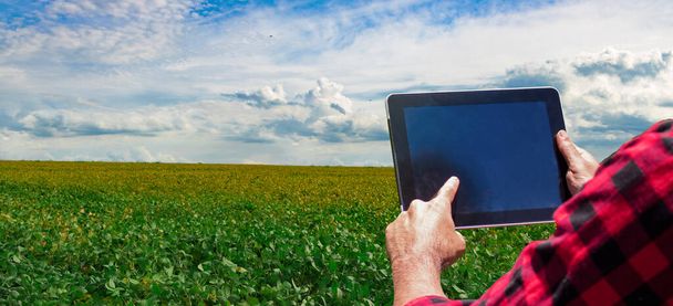 Landwirt mit Tablet-Computer auf dem Sojabohnenfeld bei Sonnenuntergang. - Foto, Bild
