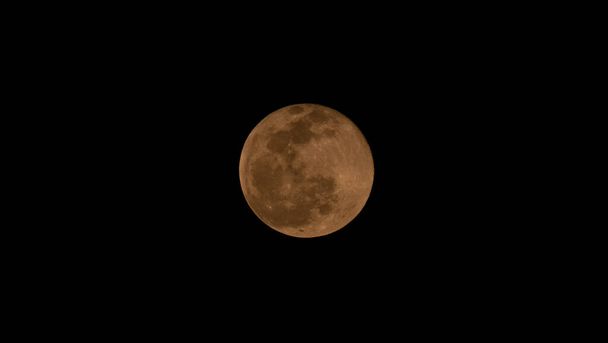 Full moon over dark black sky at night. - Photo, Image