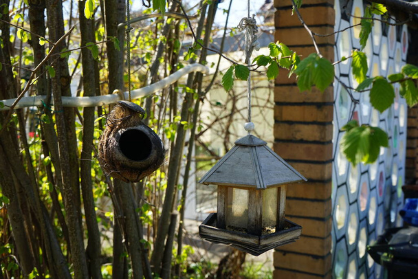 Птахи харчуються в саду. Берлін (Німеччина)   - Фото, зображення