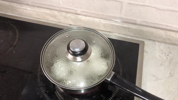 Many white eggs are boiled in a metal pan. Female hand opening and closing the glass lid of the pan. - 映像、動画