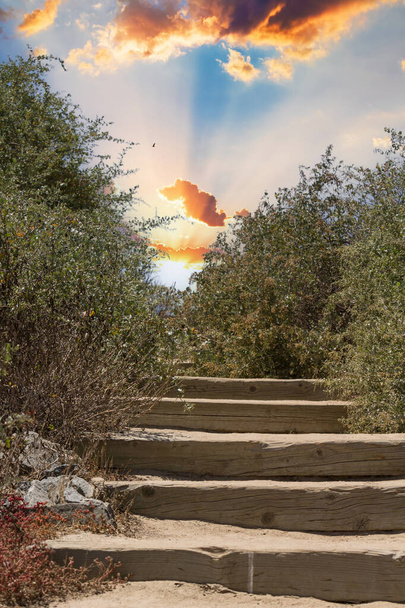 Рушійні кроки ведуть до сходу сонця у Біг - Сур (Каліфорнія). - Фото, зображення