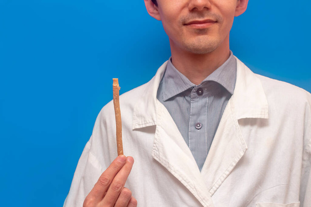 A young man holds a miswak siwak in a white coat. arak tree, Salvadora persica, sunnah. Blue background. - Valokuva, kuva