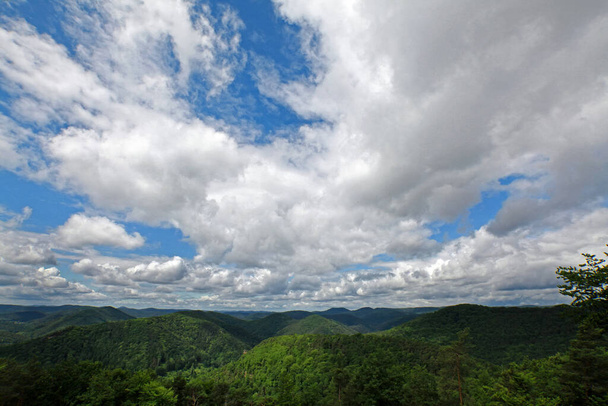 cloudy sky over the palatinate forest - Photo, Image
