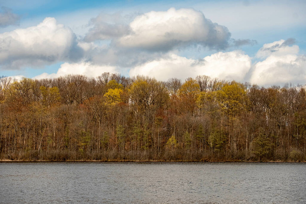 Piękne krajobrazy lasu z jesiennymi liśćmi nad jeziorem pod zachmurzonym niebem - Zdjęcie, obraz