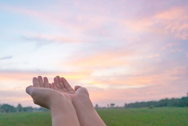 Γυναίκα χέρια θέση μαζί, όπως προσεύχεται μπροστά από τη φύση πράσινο bokeh και μπλε φόντο του ουρανού. - Φωτογραφία, εικόνα