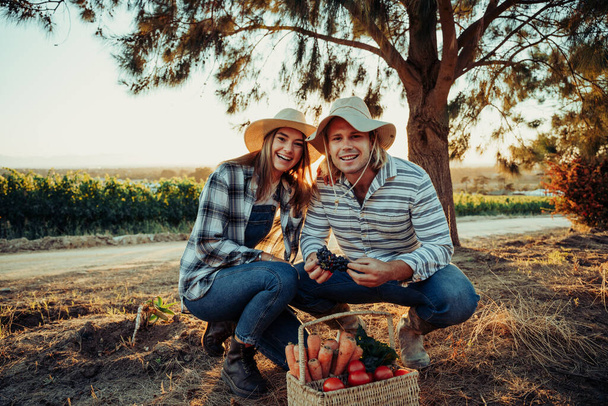 Kavkazský pár se krčí a usmívá, zatímco sbírá čerstvou zeleninu na farmách za úsvitu - Fotografie, Obrázek