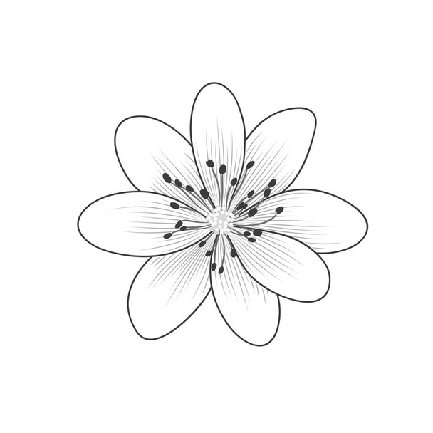 Hermosa flor de nieve aislada dibujada a mano. Elemento para el diseño. - Vector, Imagen
