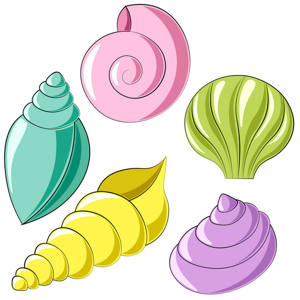 Mini set Seashells. Desenhe a ilustração na cor - Vetor, Imagem