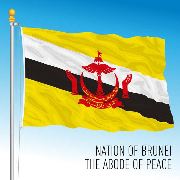 Brunei Darussalam official national flag, asiatic country, vector illustration - Вектор, зображення
