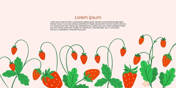 Strawberry background. Hand drawn fresh forest or garden berry. Whole juicy berries frame or border, bush with green leaves and flowers doodle summer vector cartoon minimalistic isolated illustration - Вектор, зображення