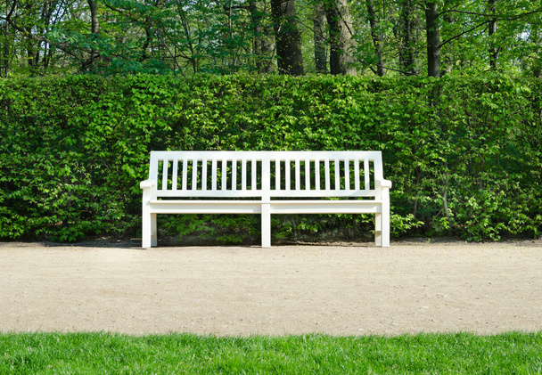 деревянные скамейки в парке Лазенки
 - Фото, изображение