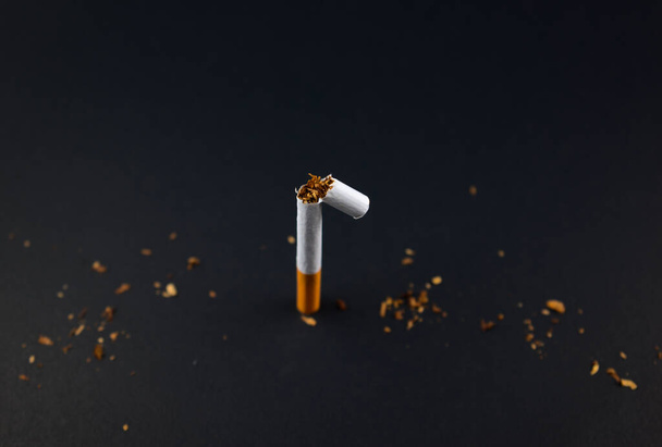 Cigarette, breaking. Smoking tobacco in rolled paper on black grunge texture background. For any smoking concepts, World No Tobacco Day or WNTD, on 31 May, or the dangers of using tobacco ideas. - Photo, Image