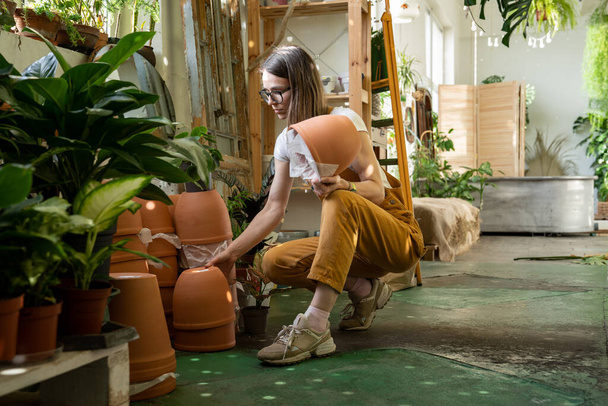 Νεαρή γυναίκα ανθοπώλης κατέχει γλάστρες για φυτά σπίτι. Φροντίδα οικιακών φυτών, αναφύτευση λουλουδιών στον κήπο του σπιτιού - Φωτογραφία, εικόνα