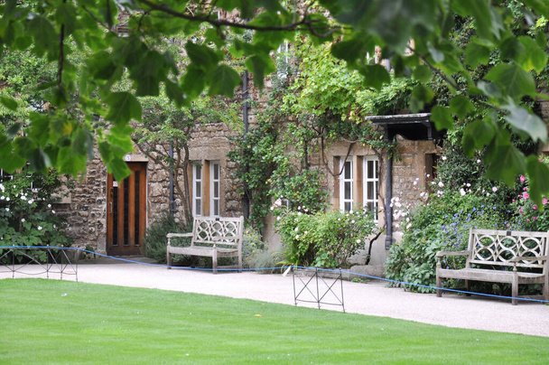 Blick auf Rasen und Gebäude Fassade mit dekorativer Bepflanzung von Hertford College alten Quad, Oxford, Vereinigtes Königreich. Bedeckter Himmel. - Foto, Bild