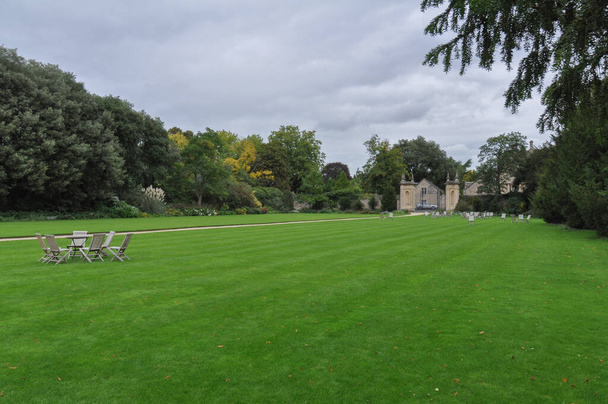 Вид на складані стільці та англійський газон з саду триочкових коледжів, з "єднаного королівства. оголене небо. - Фото, зображення