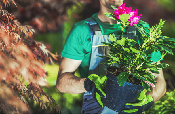 Кавказский садовник, 30 лет, покупает цветочное растение в горшке. Посадка новых цветов во дворе сада.  - Фото, изображение