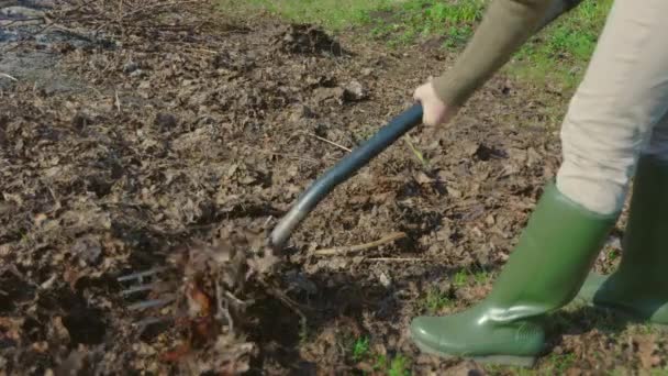 Женщина убирает старые листья с земли в саду - Кадры, видео