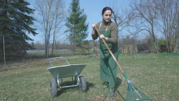 Nainen käyttää rake siivota puutarha nurmikko - Materiaali, video