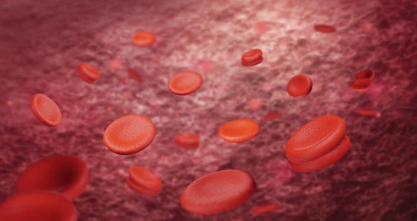 3d haciendo glóbulos rojos en la vena. Macro que fluye glóbulos rojos a través de la arteria. - Foto, imagen