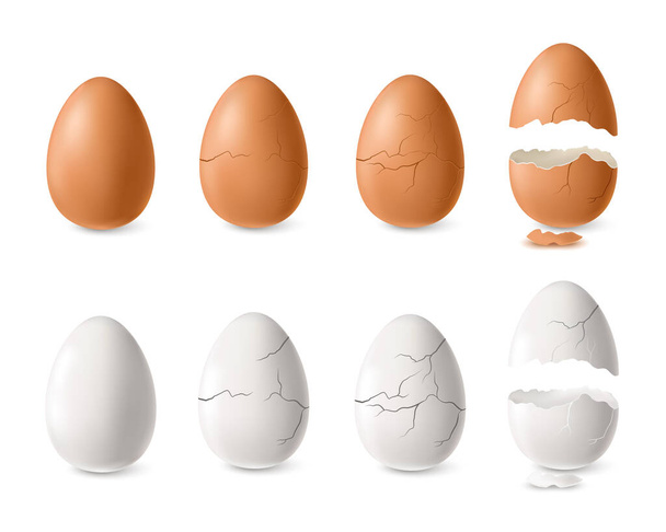 White And Brown Egg Set - ベクター画像