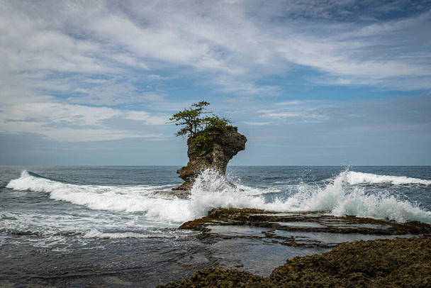 An eerie seascape in the Gandoca Manzanillo Wildlife Refuge in Costa Rica - Foto, imagen