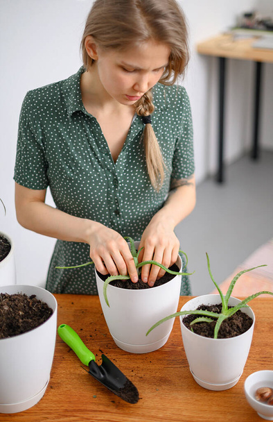 Girl transplanting plants at home in white pots - Zdjęcie, obraz