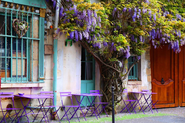 Au Vieux Paris d 'Arcole café met een bloeiende wisteria in de maand mei in Parijs - Foto, afbeelding