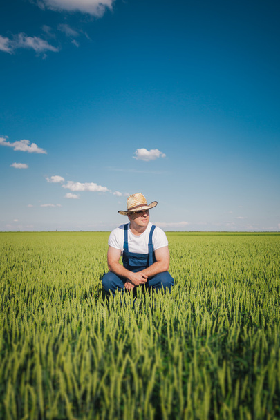 Farmer in the Field - Φωτογραφία, εικόνα