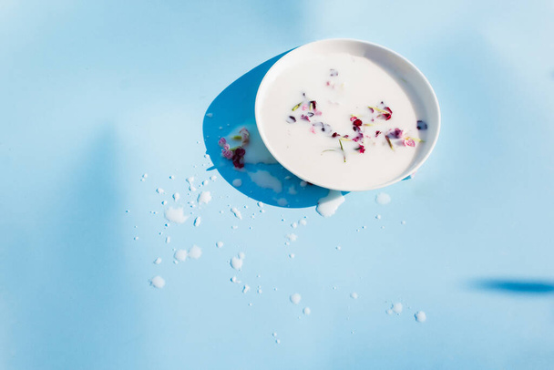 milk with flowers in a saucer on a blue background. - Zdjęcie, obraz