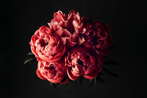 Pink peonies over dark background. Moody floral baroque style image with copy space - Zdjęcie, obraz