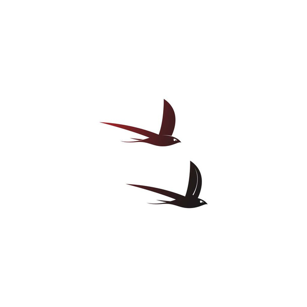 Простий дизайн шаблону логотипу Swift Bird
 - Вектор, зображення