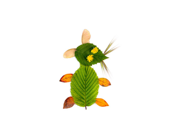 DIY levél kézműves, különböző színes halott levelek - Fotó, kép
