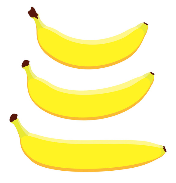 Eri muotoisia vektoribanaaneja. Kolme kypsää keltaista banaania piirretty tasainen muotoilu. Sarjakuvahedelmät - Vektori, kuva