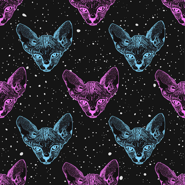 Sphinx kittens. The heads cat on the background of the starry sky, space. Prints for clothes, Space theme, T-shirts. Vector - Vektor, Bild
