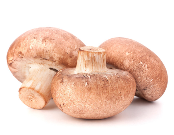 Brown champignon mushroom - Foto, afbeelding