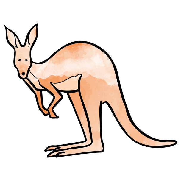 Aquarel stijl met de hand getekend staande kangoeroe - Vector, afbeelding