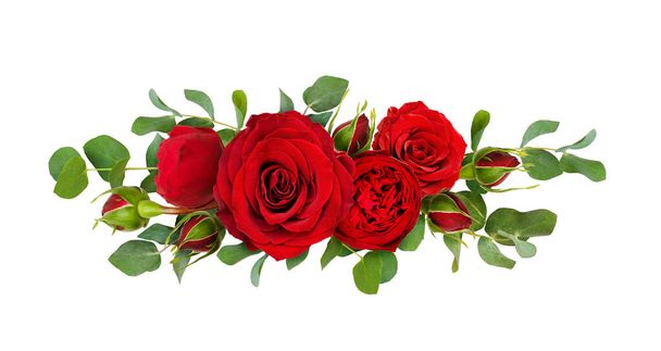 Red rose flowers with eucalyptus leaves in a line arrangement isolated on white background. Flat lay. Top view. - Photo, image
