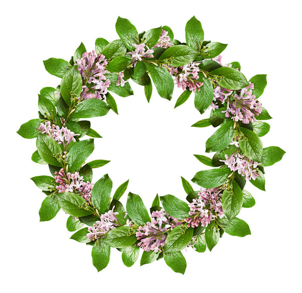 Spring wreath with green leaves and lilac flowers isolated on white background. Flat lay. Top view. - Photo, Image