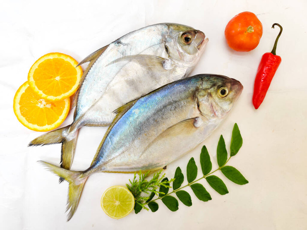 Fresh Malabar Trevally fish decorated with herbs and fruits ,Isolated on white Background.Selective focus.Space for text. - Photo, Image