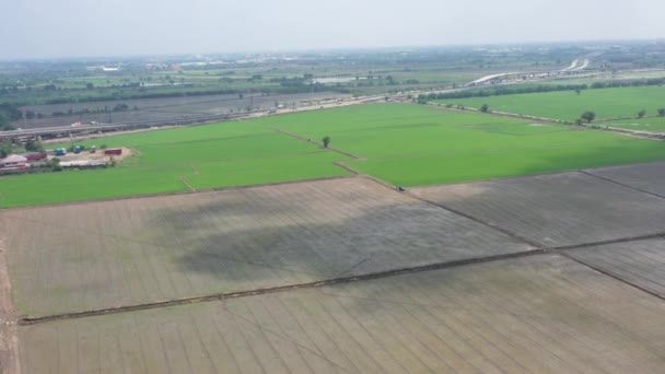 вид з повітря з літаючого безпілотника польового рису з пейзажним зеленим візерунком фон природи, вид зверху польовий рис
 - Кадри, відео