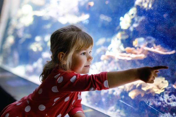 χαριτωμένο κοριτσάκι που επισκέπτεται ενυδρείο ζωολογικού κήπου. Ευτυχισμένο μικρό παιδί που βλέπει ψάρια και μέδουσες, κοράλλια. Γοητευμένο παιδί με άγρια ζωή βαθέων υδάτων. - Φωτογραφία, εικόνα