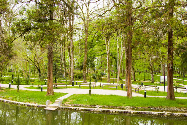 Pond in the park, Zugdidi Botanic garden in Georgia. Springtime. - Фото, изображение