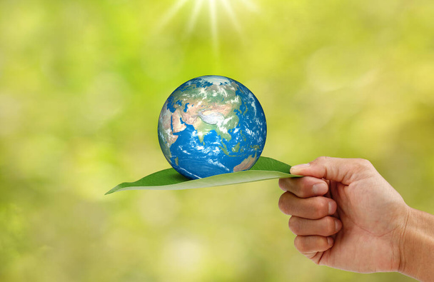 Hand holding a green leaf with the earth on natural bokeh background. save the earth concept. - Foto, Imagem