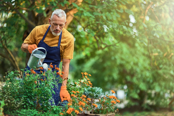 Handsome middle aged caucasian farmer watering flowers - Foto, immagini