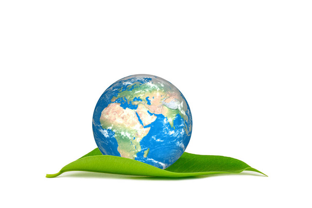 De aarde op groen blad op witte achtergrond. red het concept van de aarde ecologie.  - Foto, afbeelding