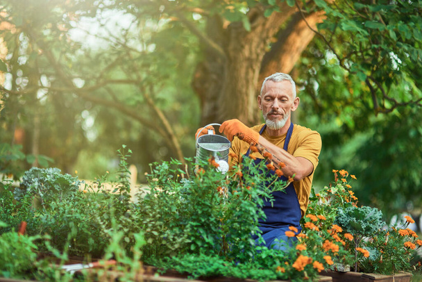 Wesoły biały mężczyzna w średnim wieku podlewa rośliny - Zdjęcie, obraz