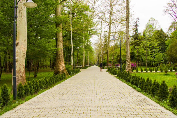 Garden and park, Zugdidi Botanic garden in Georgia. Springtime garden. - Фото, изображение