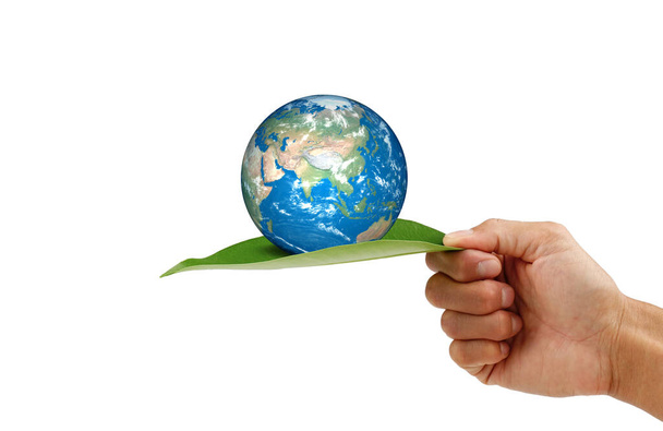 Hand holding a green leaf with the earth on white background clipping path. save the earth concept. - Photo, Image