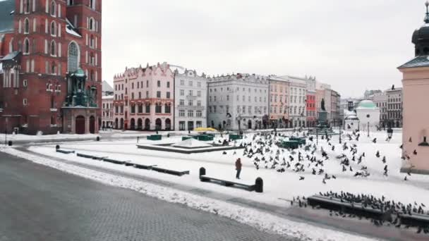 Krakow old town square - Citys gravitational centre - St. Marys Basilica  - Кадри, відео